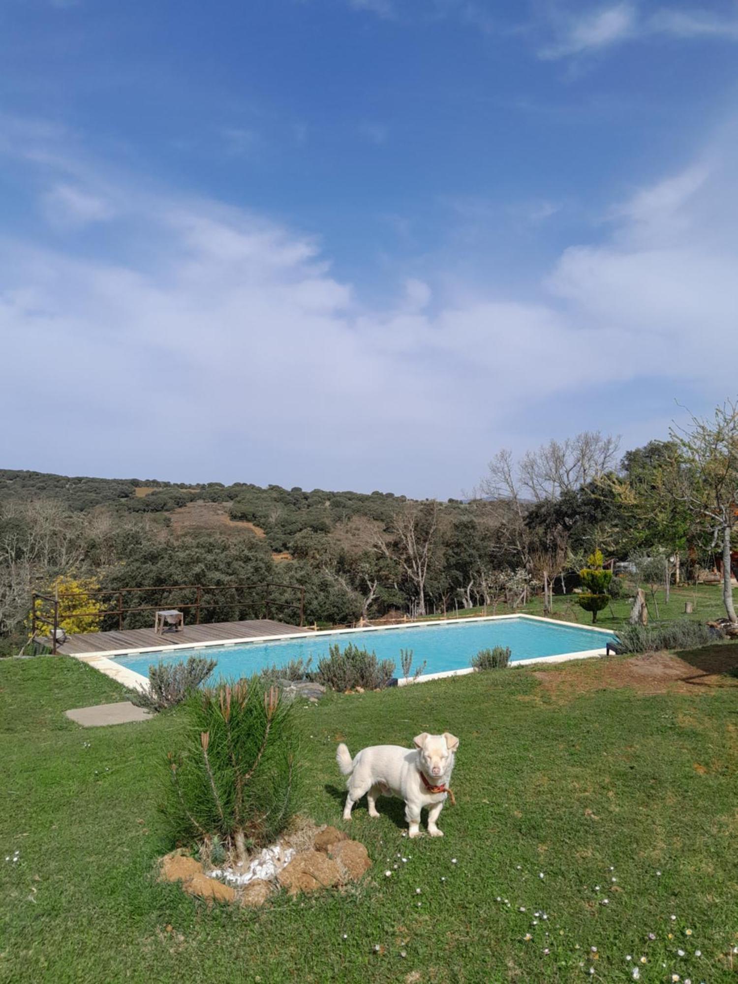 Quinta Da Devesa B1 Apartment Виняйс Екстериор снимка
