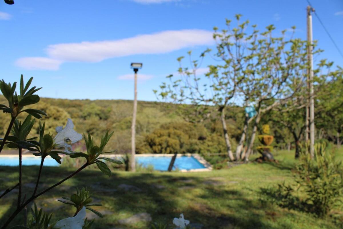 Quinta Da Devesa B1 Apartment Виняйс Екстериор снимка